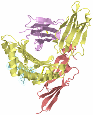 Image Biological Unit 2