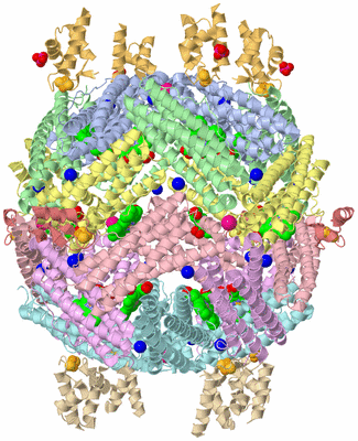 Image Biological Unit 1