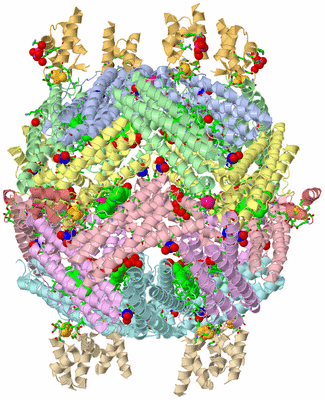 Image Biol. Unit 1 - sites