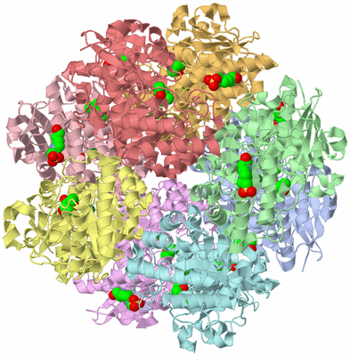 Image Biological Unit 1