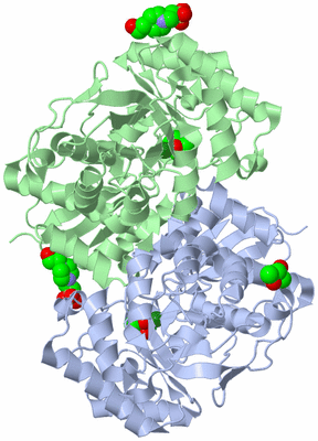 Image Biological Unit 2