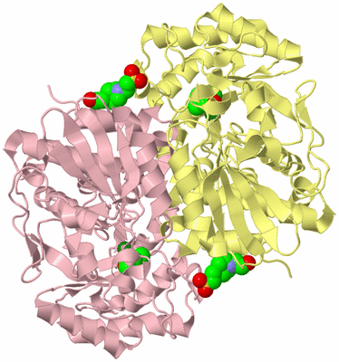 Image Biological Unit 3