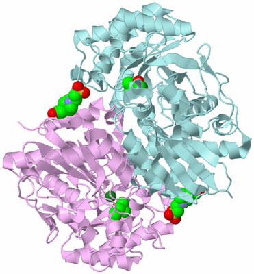 Image Biological Unit 4