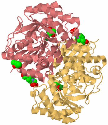 Image Biological Unit 5