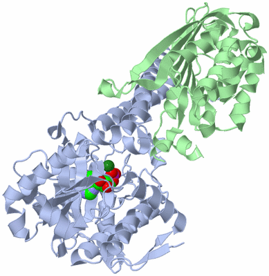 Image Biological Unit 1