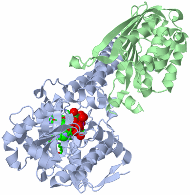 Image Biol. Unit 1 - sites