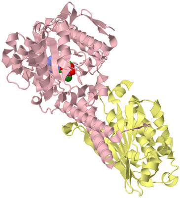 Image Biological Unit 2