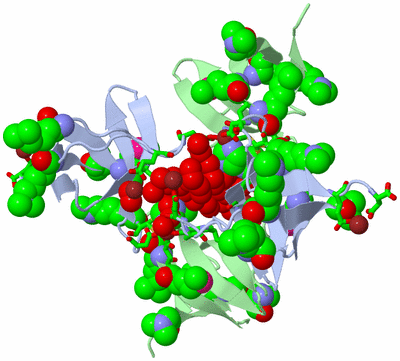 Image Biol. Unit 1 - sites