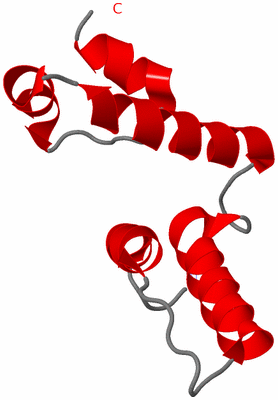 Image Asymmetric Unit