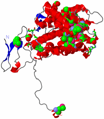 Image Asym. Unit - sites