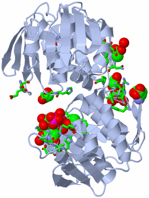 Image Biol. Unit 1 - sites