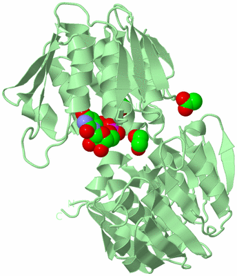 Image Biological Unit 2