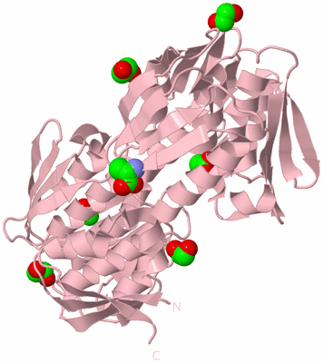 Image Biological Unit 3