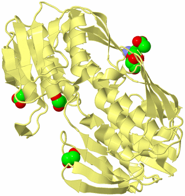 Image Biological Unit 4