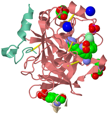 Image Biological Unit 1