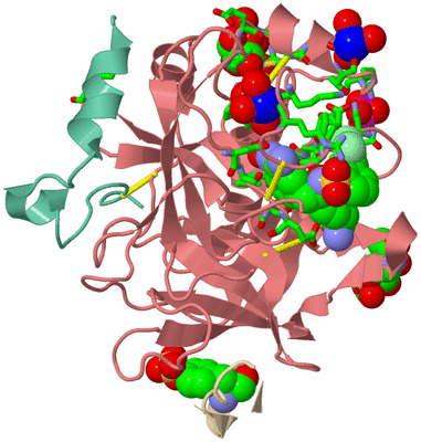 Image Biol. Unit 1 - sites