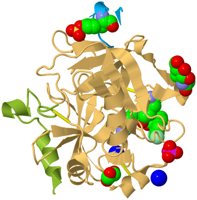 Image Biological Unit 2