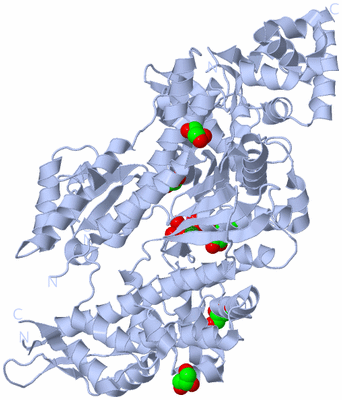 Image Biological Unit 1