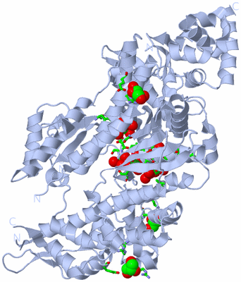 Image Biol. Unit 1 - sites