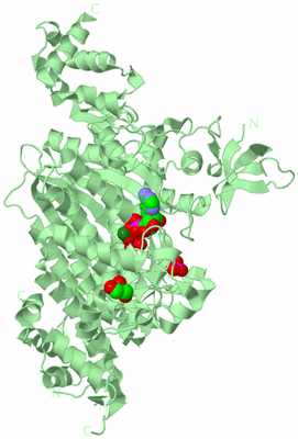 Image Biological Unit 2