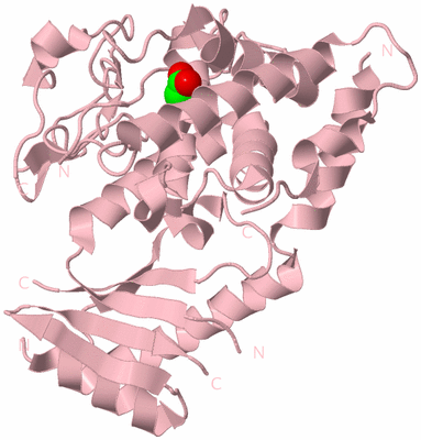 Image Biological Unit 3