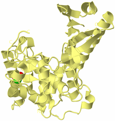 Image Biological Unit 4