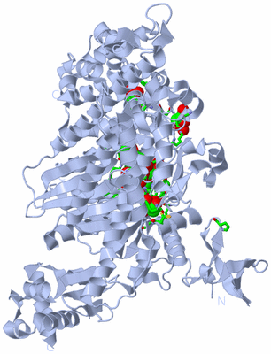 Image Biol. Unit 1 - sites