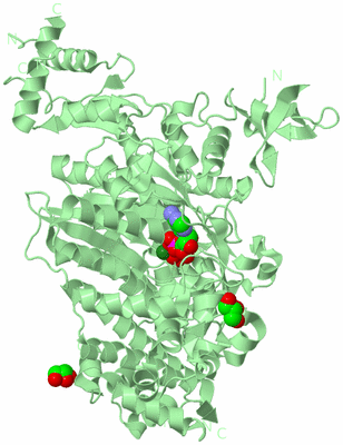 Image Biological Unit 2