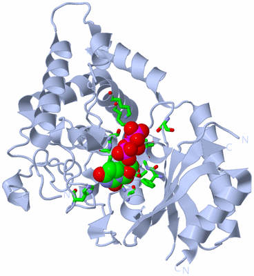 Image Biol. Unit 1 - sites