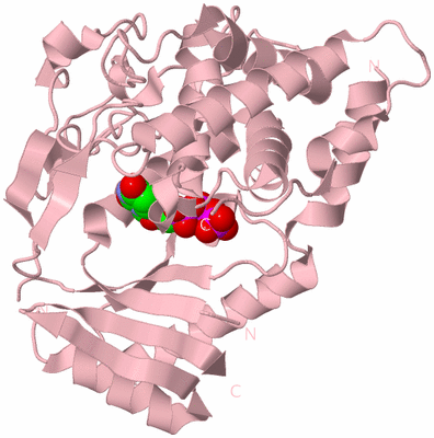 Image Biological Unit 3