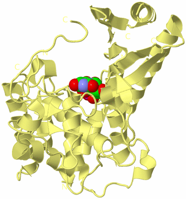 Image Biological Unit 4