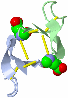 Image Asymmetric Unit