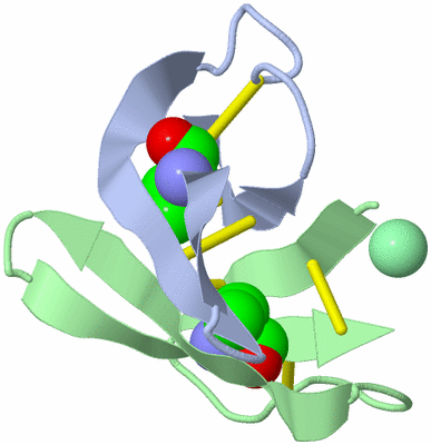 Image Biological Unit 10