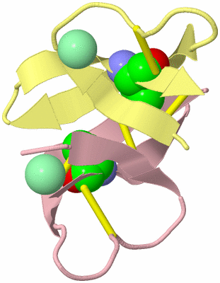 Image Biological Unit 11