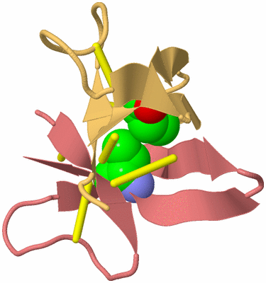 Image Biological Unit 13