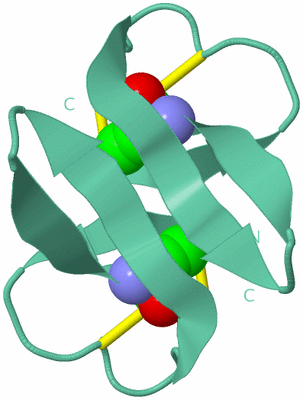 Image Biological Unit 14