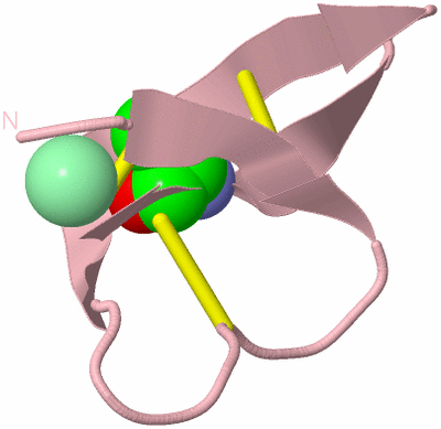 Image Biological Unit 3