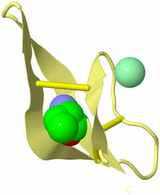 Image Biological Unit 4