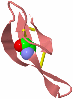 Image Biological Unit 8