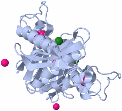 Image Biological Unit 2