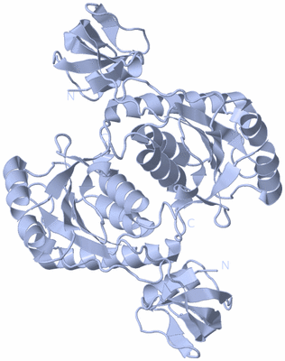 Image Biological Unit 2