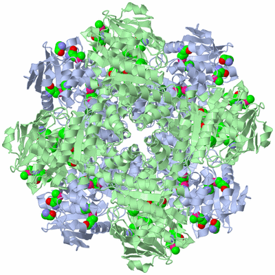 Image Biological Unit 1