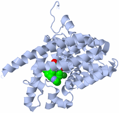 Image Biological Unit 1