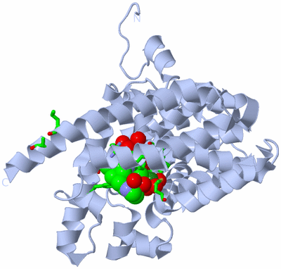 Image Biol. Unit 1 - sites