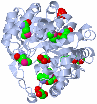 Image Biological Unit 1