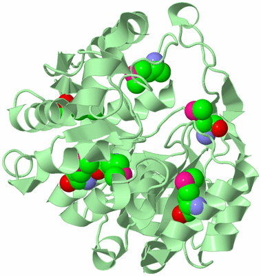 Image Biological Unit 2