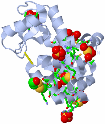 Image Biol. Unit 1 - sites