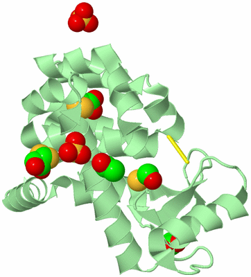 Image Biological Unit 2