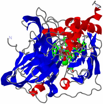 Image Asym./Biol. Unit - sites