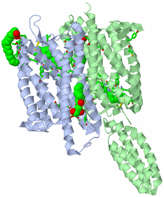 Image Biol. Unit 1 - sites